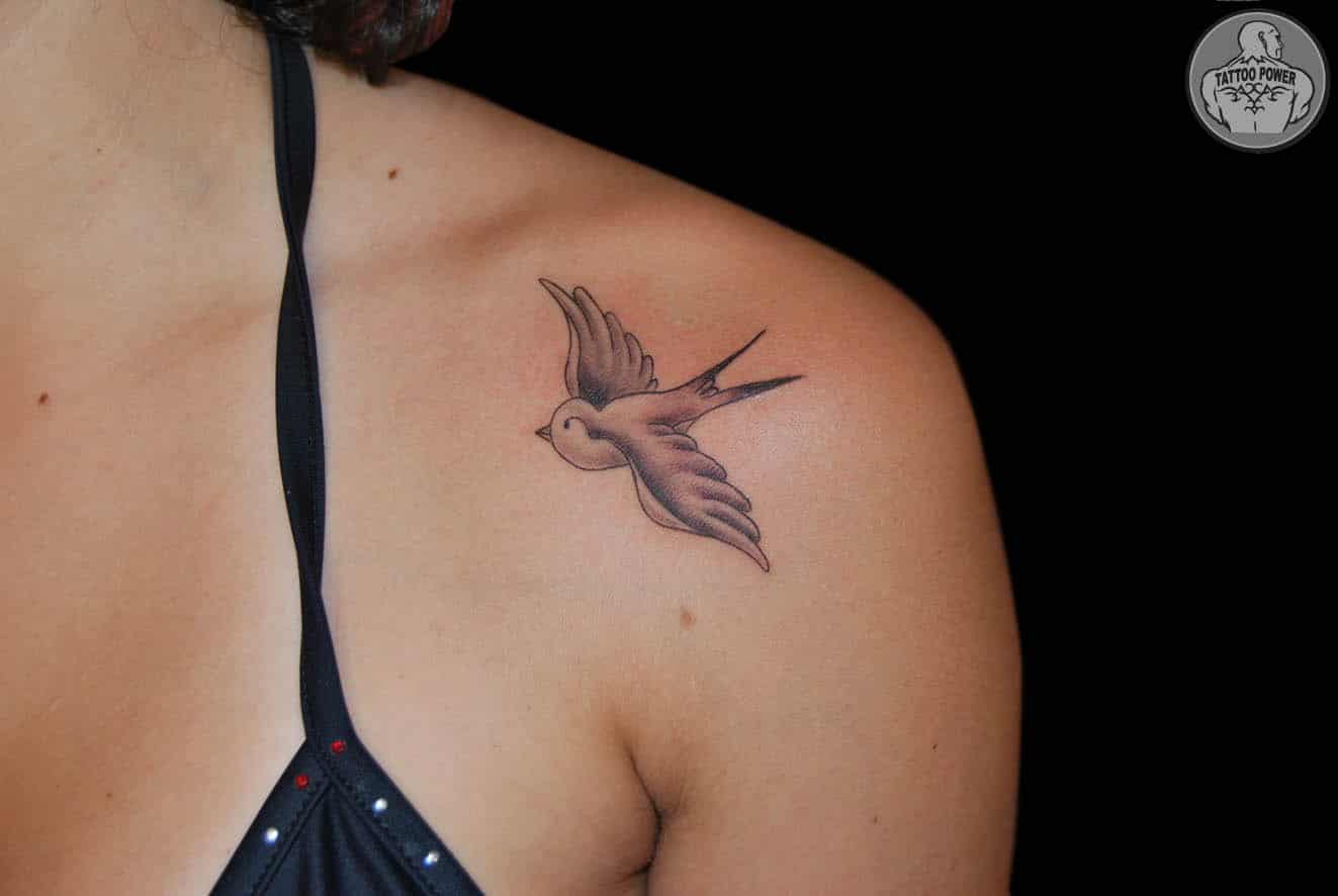 tatuagem-de-pássaros-Fotos