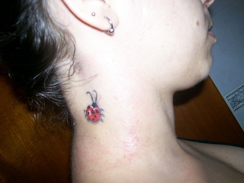 tatuagem joaninha